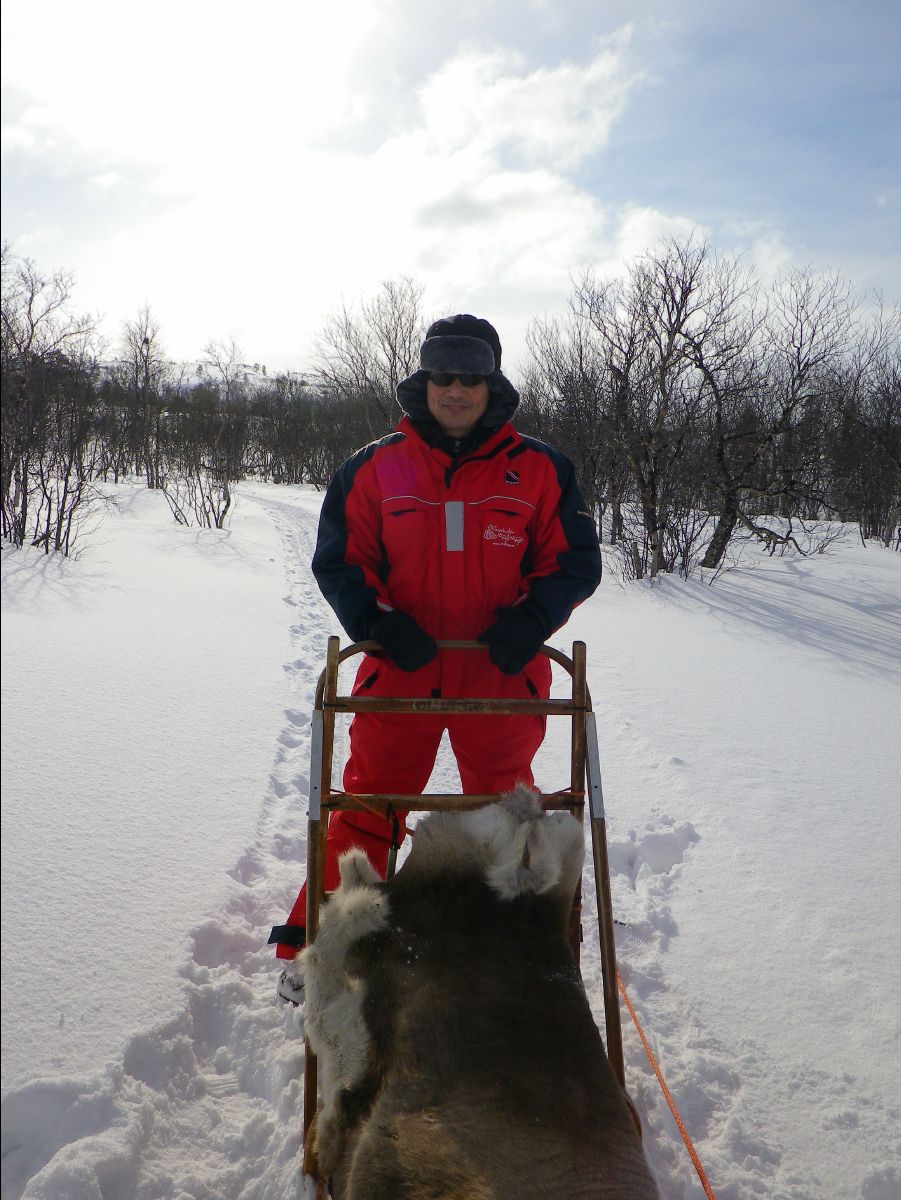 Dogs sledge56